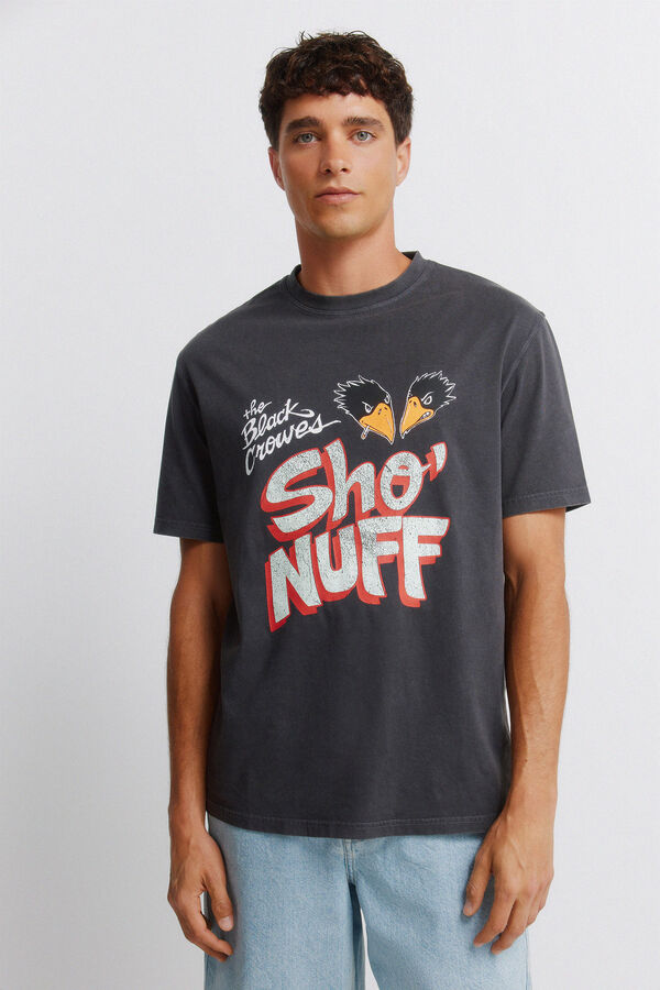Springfield T-shirt Black Crowes Sho Nuff cinzento