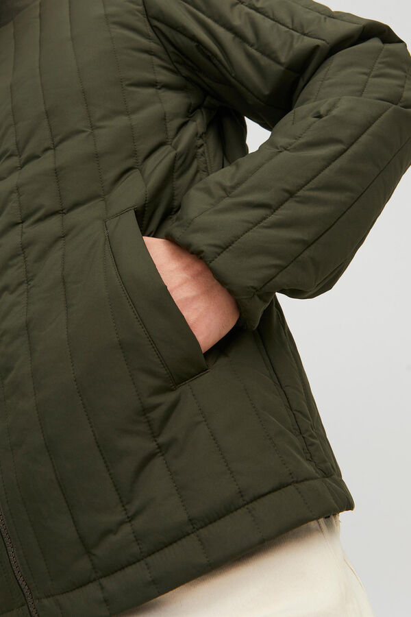 Springfield Quilted bomber jacket green