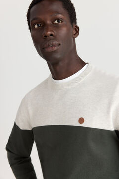 Springfield Colour block basic jumper