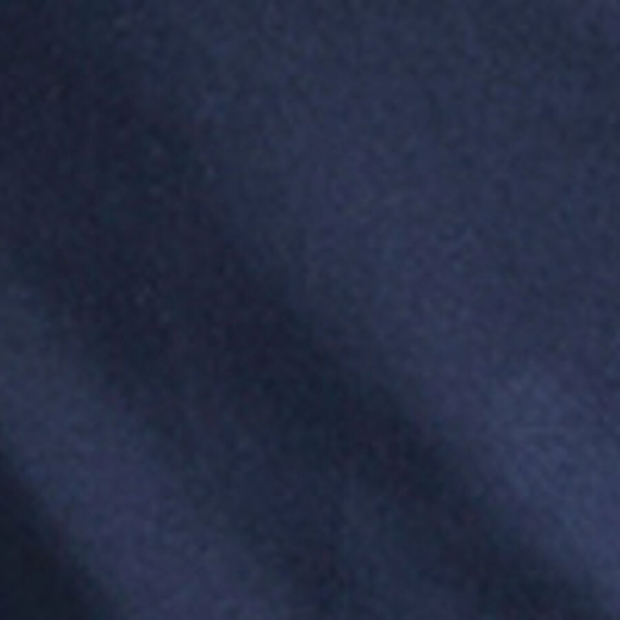 Color swatch