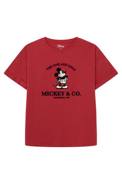 Springfield "Mickey & Co" T-shirt brick