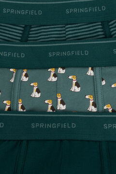 Springfield Pack of 3 dog boxers