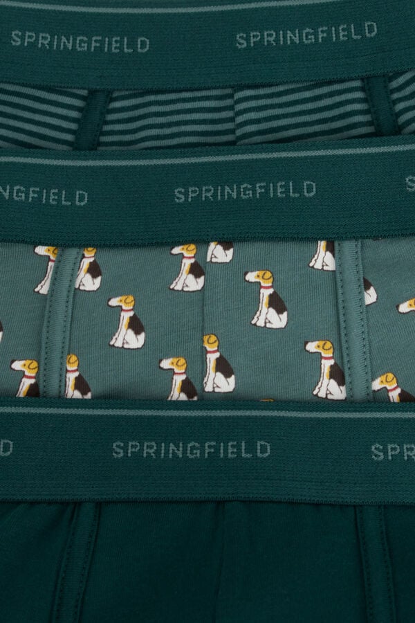 Springfield Pack of 3 dog boxers green