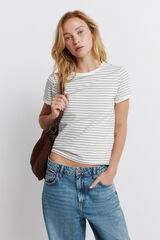 Springfield Basic fitted T-shirt brown