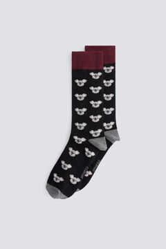 Springfield Koala cotton socks