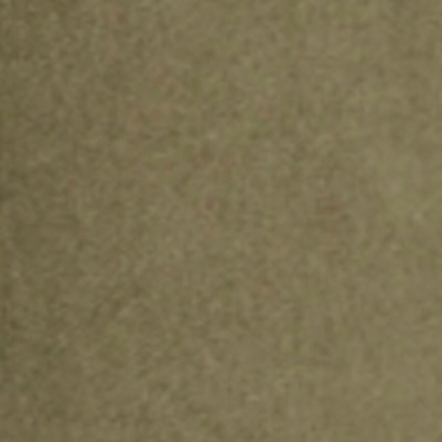 Color swatch
