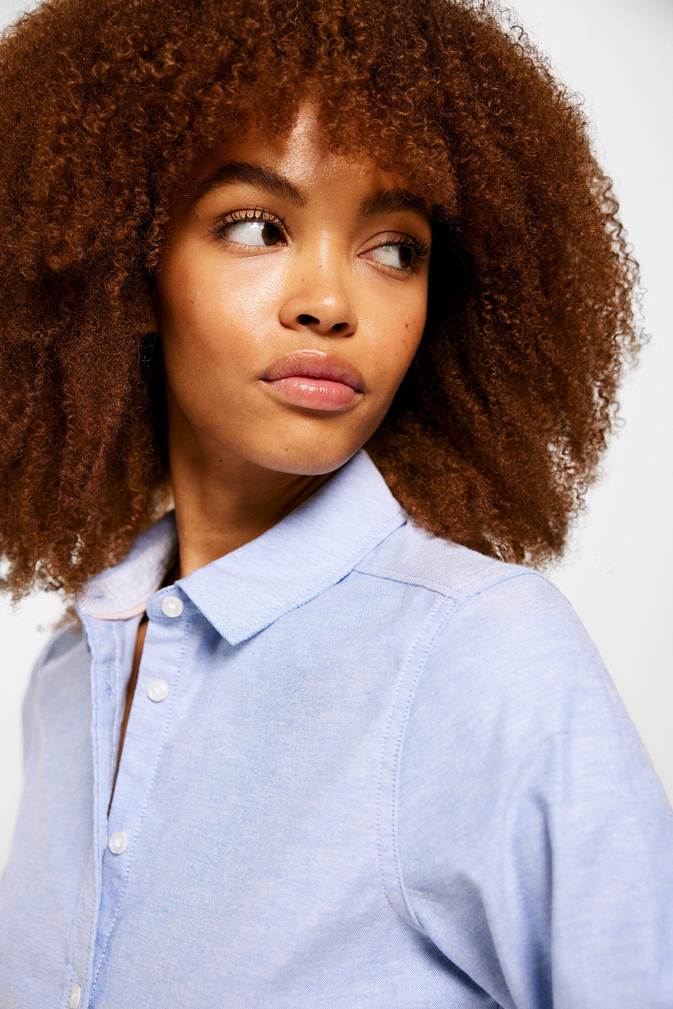 Chemisier Femme Springfield - Coton - Col Côtelé - Coupe Classique - Pour Bureau Quotidien élégant - 1
