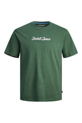 Springfield Plus essential T-shirt green
