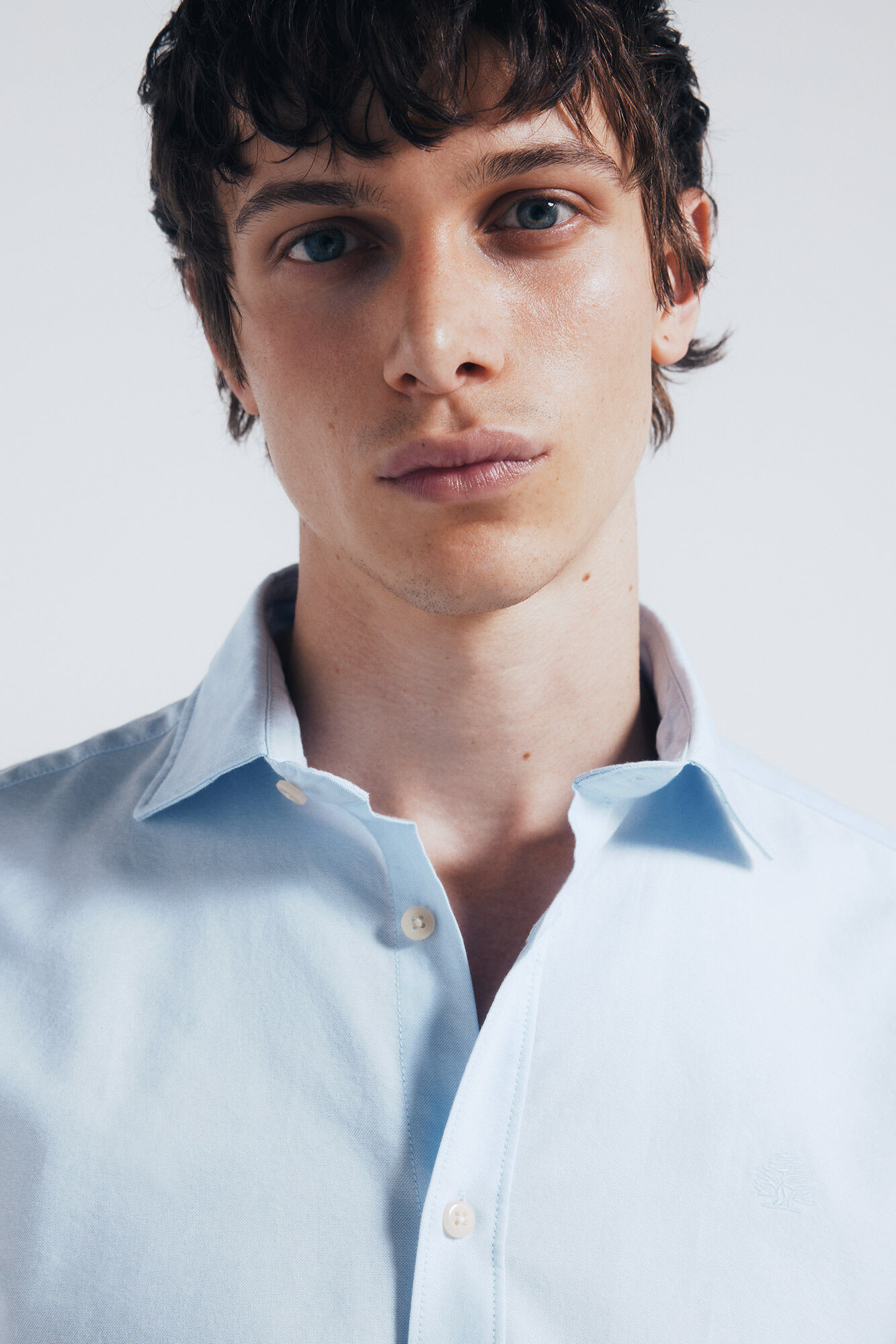 Springfield Lightweight Oxford Shirt