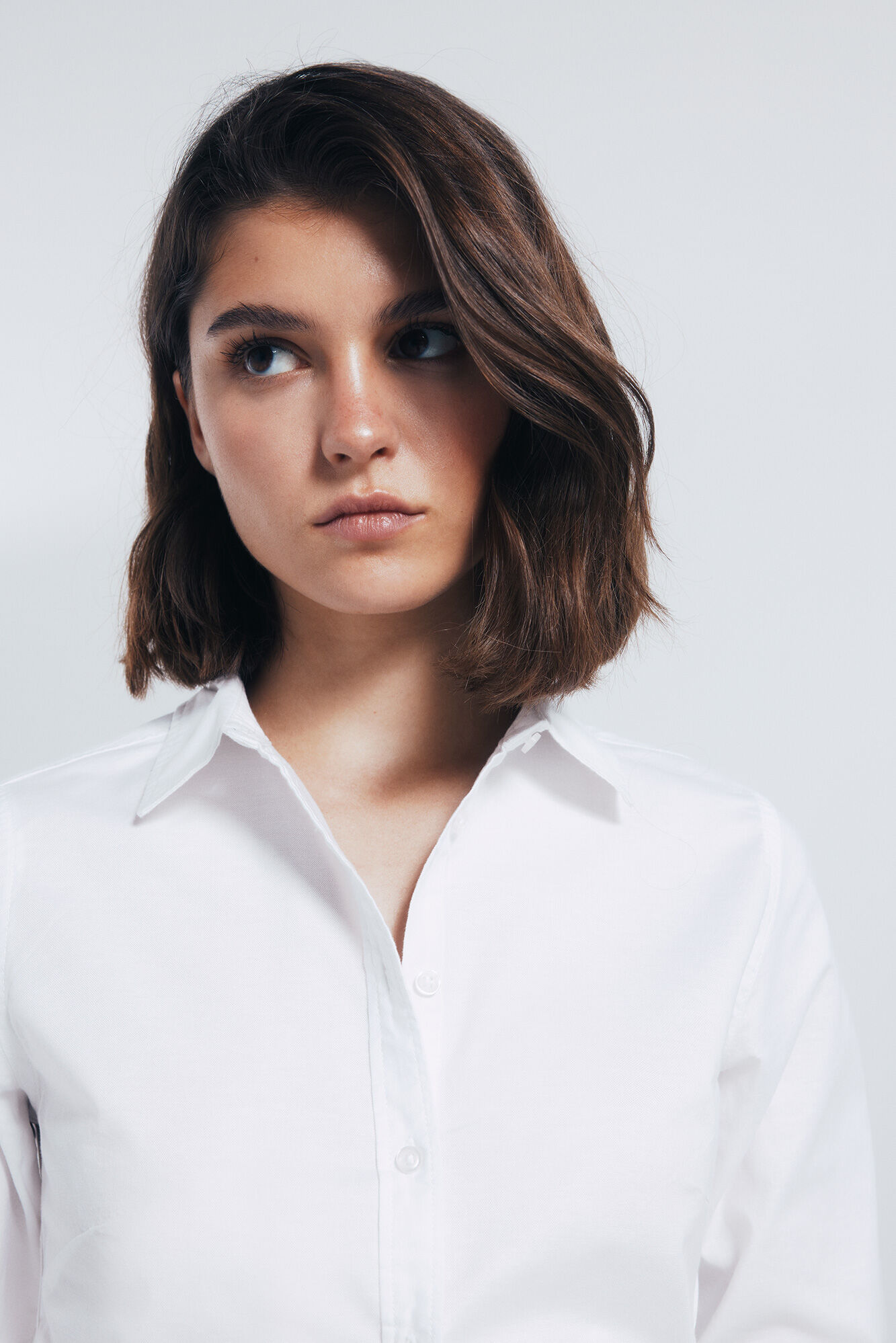 Springfield Camisa Oxford algod&oacute;n