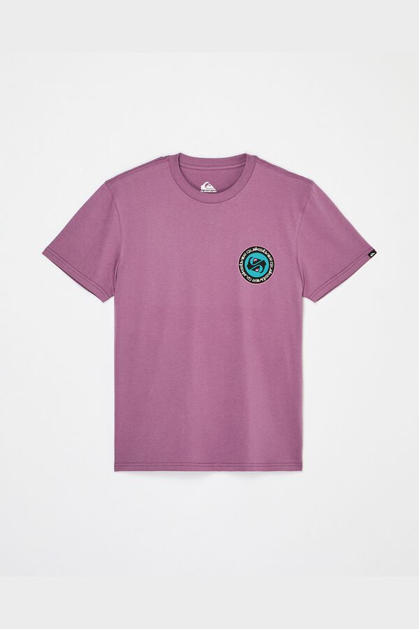 Quiksilver Long sleeve T-shirt pink