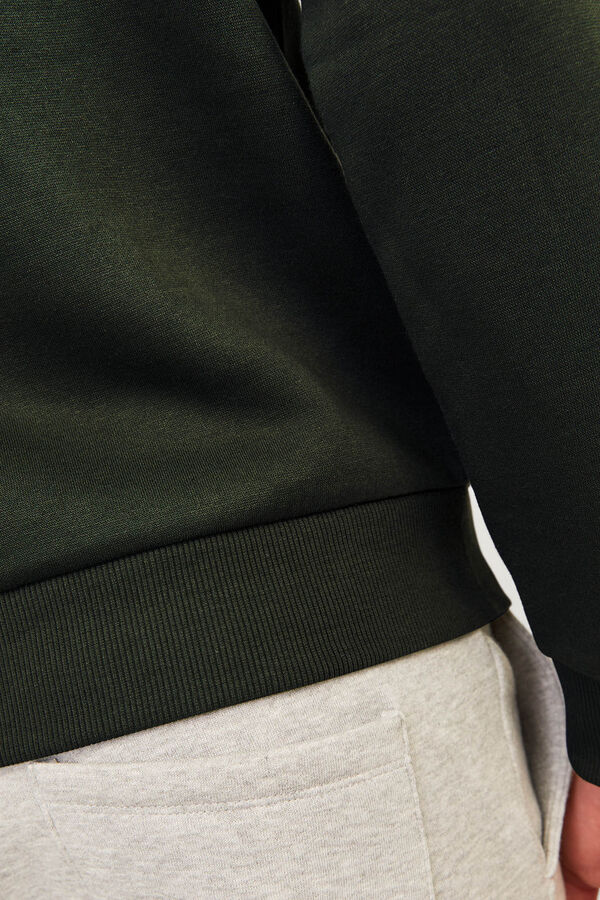 Springfield regular fit sweatshirt dark green