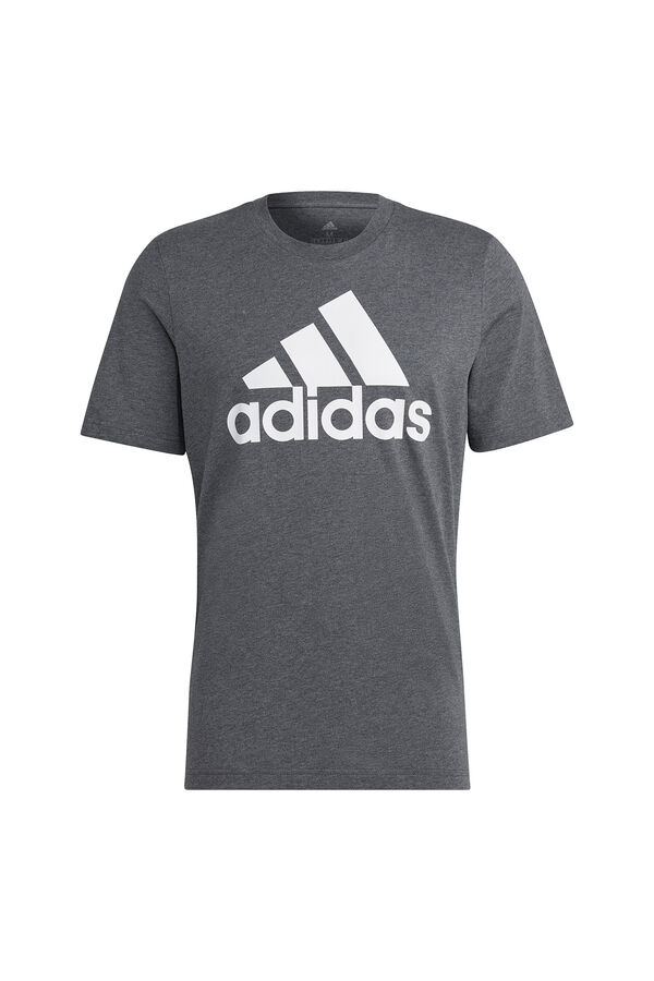 Springfield Graphic T-shirt gray