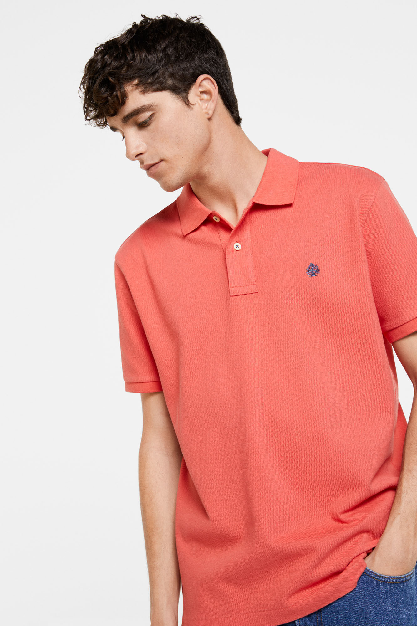 springfield polos homem