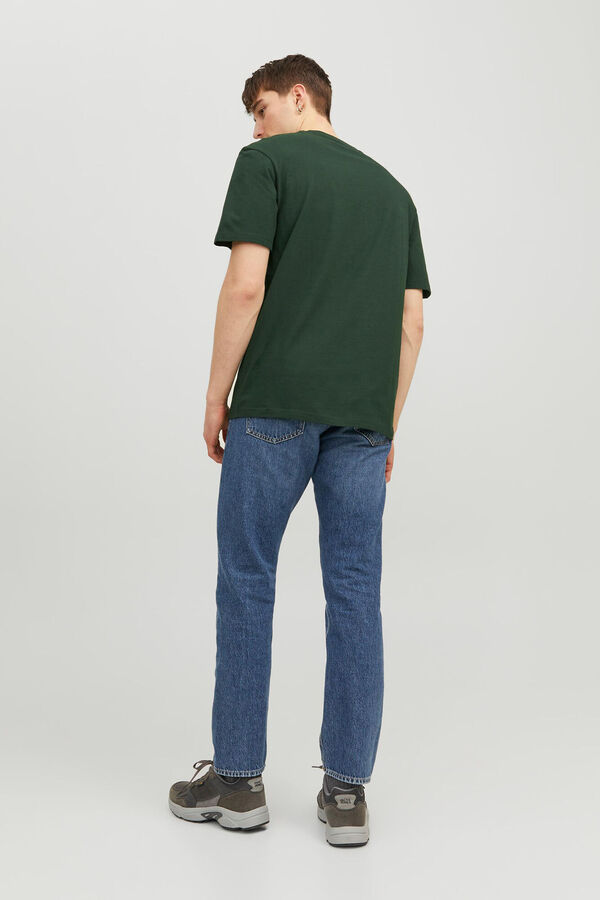Springfield Standard fit T-shirt green