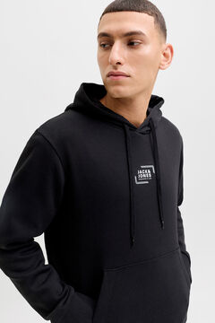 Jack & Jones Sudadera con capucha regular fit