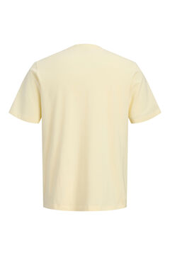 Jack & Jones Front print T-shirt