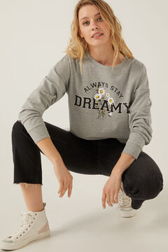 Springfield Sweatshirt &bdquo;Dreamy&ldquo; grau
