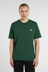 Dickies Mapleton T-shirt Zelena