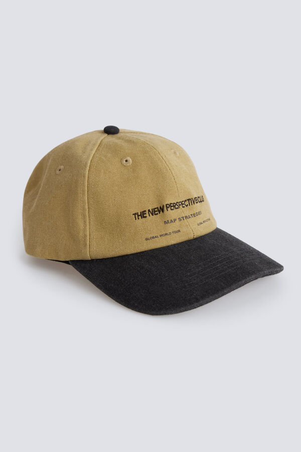 Springfield Two-tone baseball cap grey