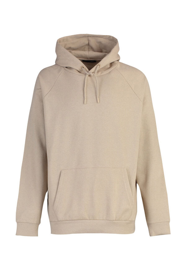 Trendyol Sudadera regular con capucha beige