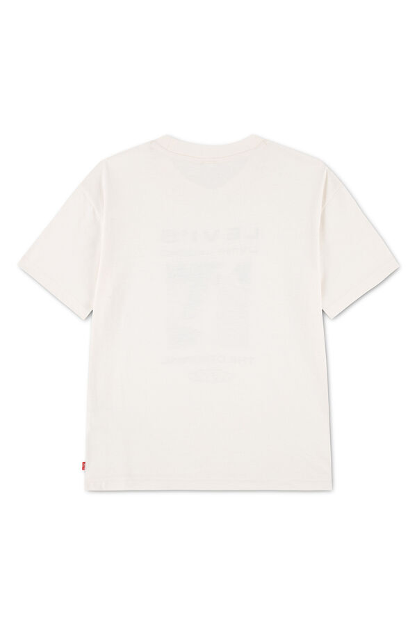 Levi's Skate short sleeve T-shirt beige
