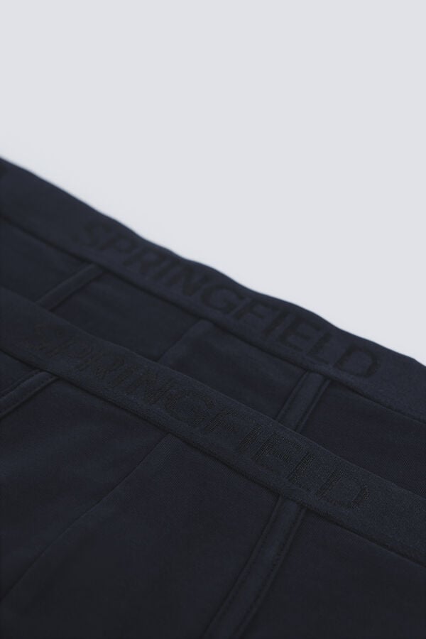Springfield Pack of 2 essential briefs blue