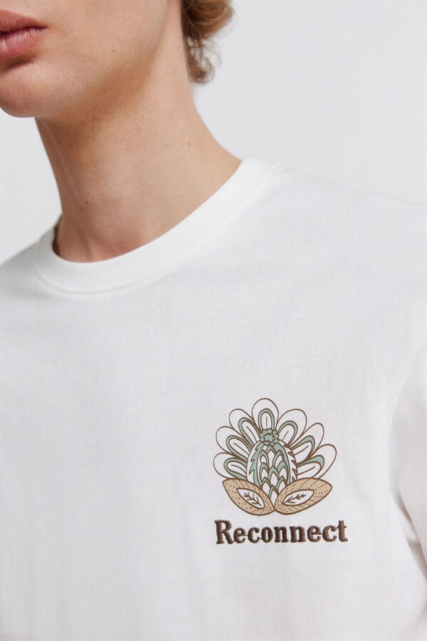 Springfield T-shirt Indiana bege