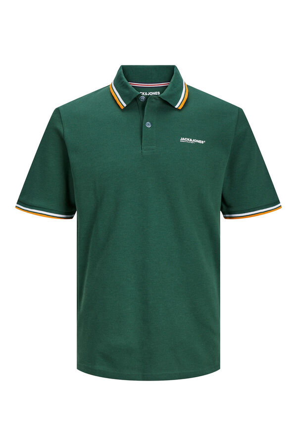 Springfield Standard fit polo shirt green
