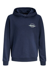 Jack & Jones Junior Sudadera con capucha azul