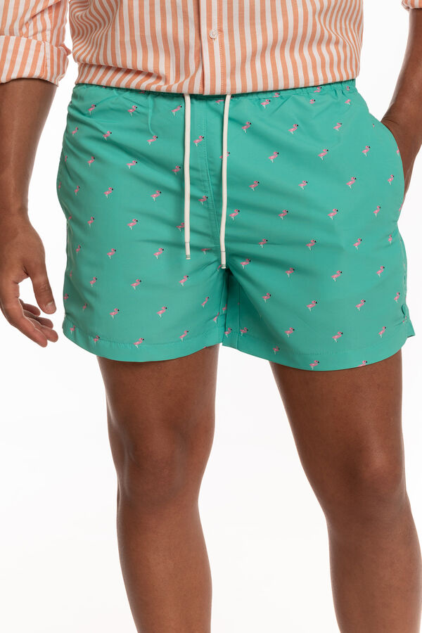 Celopman Printed swimwear green