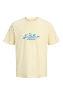 Jack & Jones Front print T-shirt