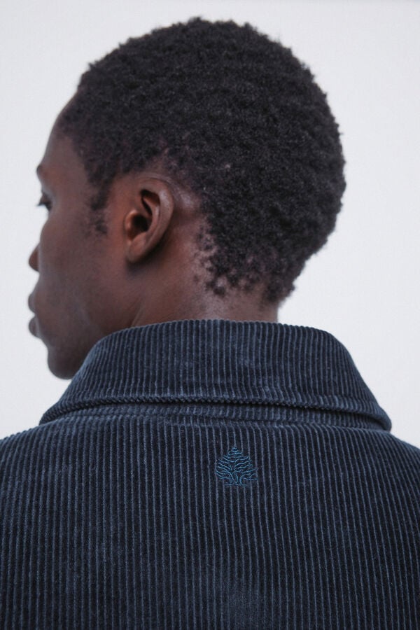 Springfield Somot jakna Plava