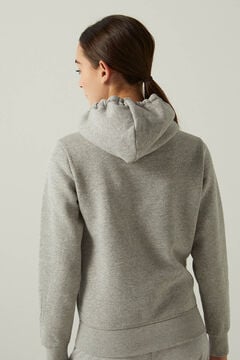 Springfield Champion hooded sweatshirt grau