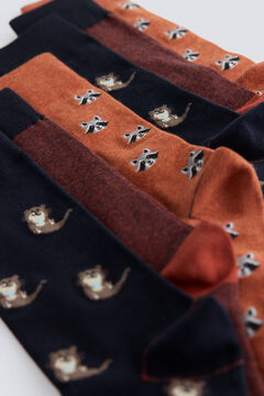 Springfield Pack of 3 animal cotton socks