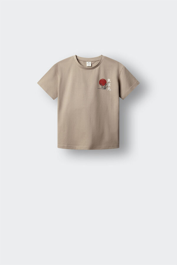 Springfield Kids Camiseta manga corta Monte Fuji ni&ntilde;o nude