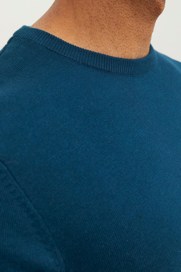 Springfield Essential jumper with a round neck bluish