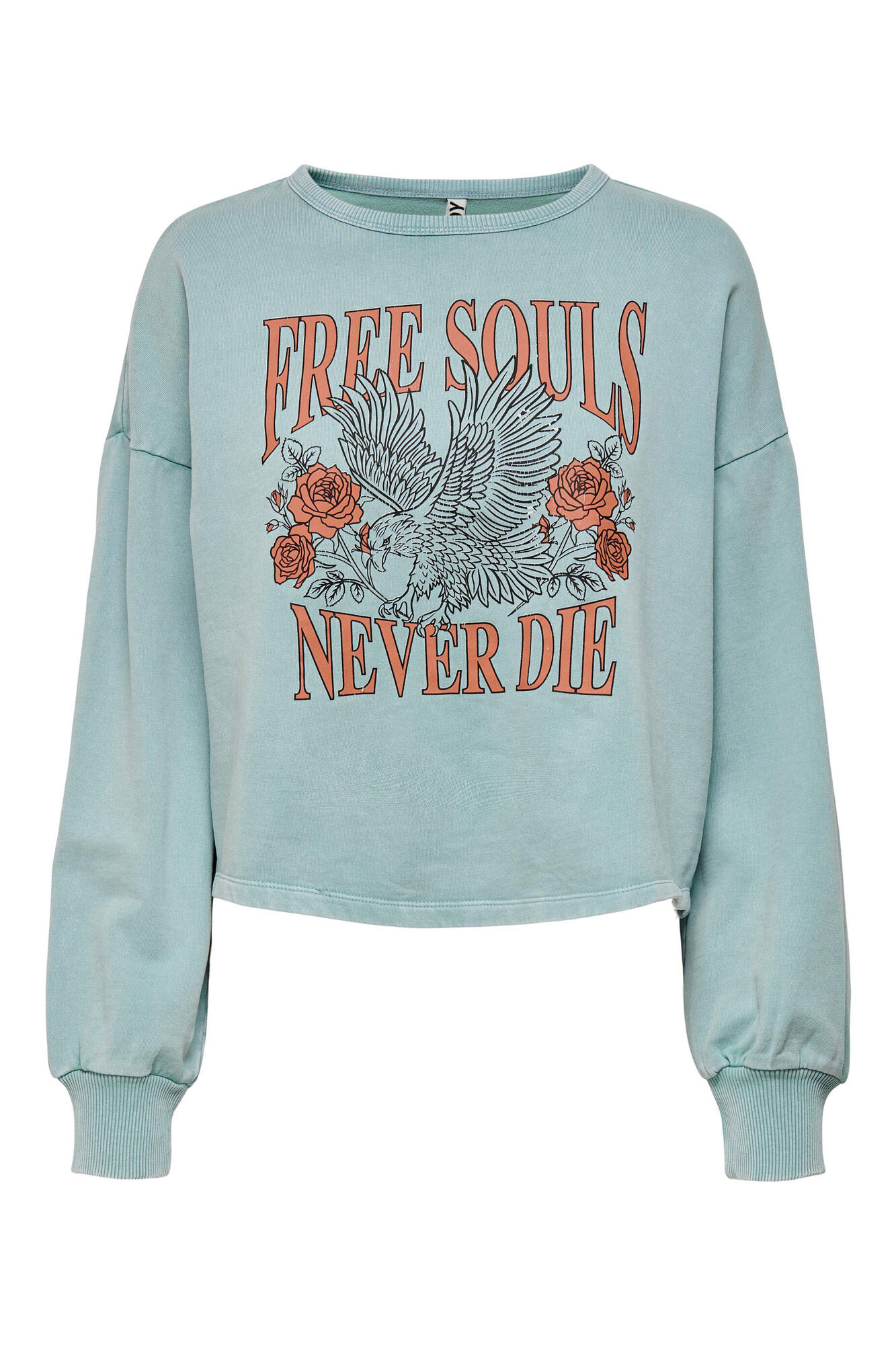 Sudaderas de mujer | Nueva Colección | Springfield