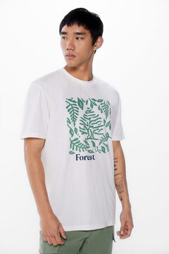 Springfield Tree T-shirt ecru