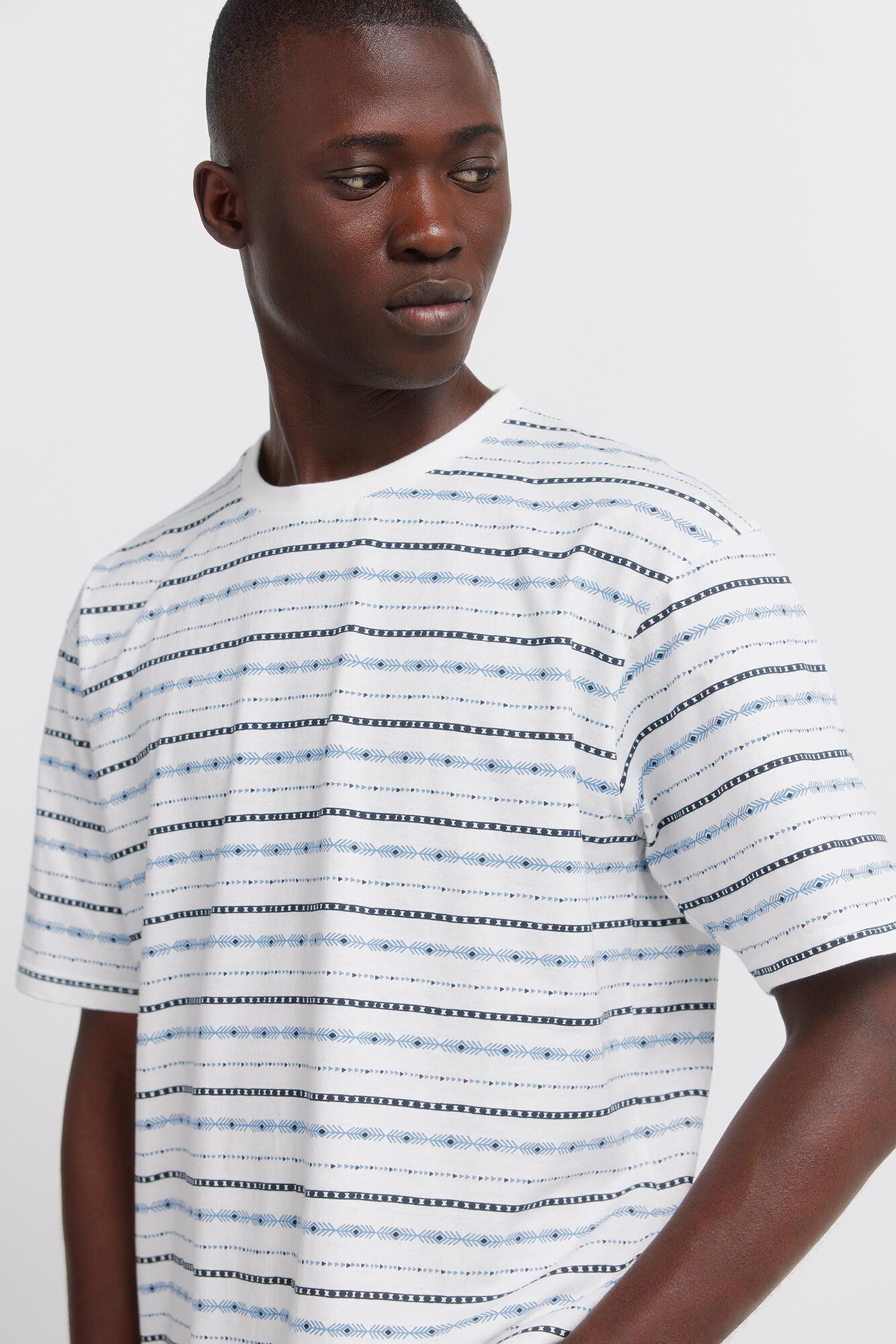 Springfield Basic T-shirt Aop