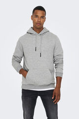 Springfield Fleece hood sweatshirt grey