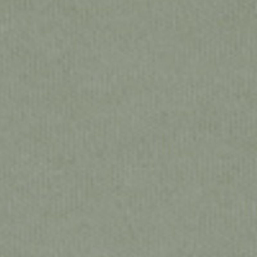 Color swatch