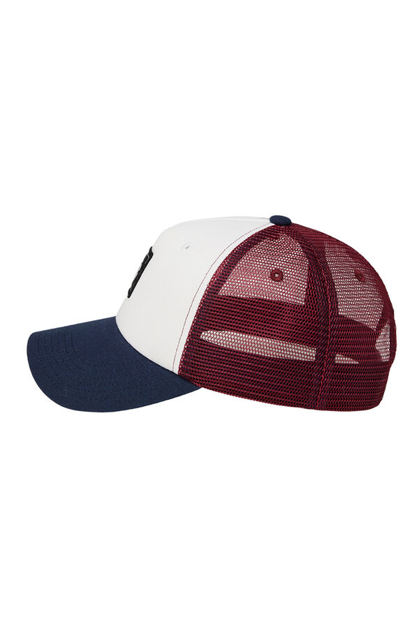Element Curved visor trucker cap blanc