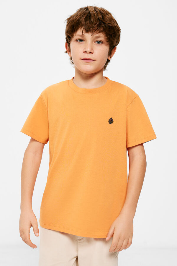 Springfield Majica logotip Springfield za dečake narandžasta