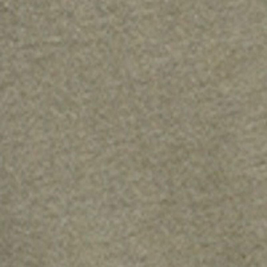 Color swatch