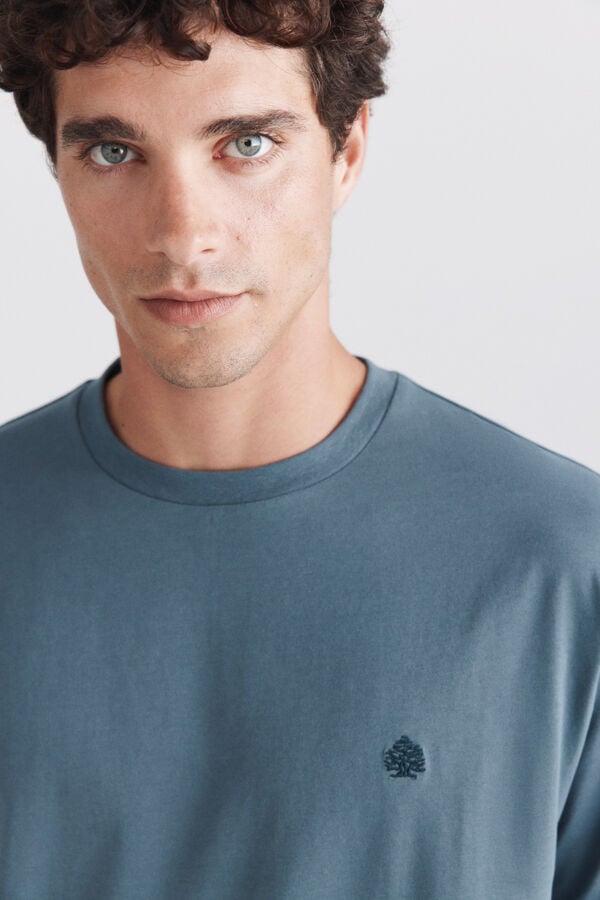 Springfield Springfield logo basic T-shirt blue