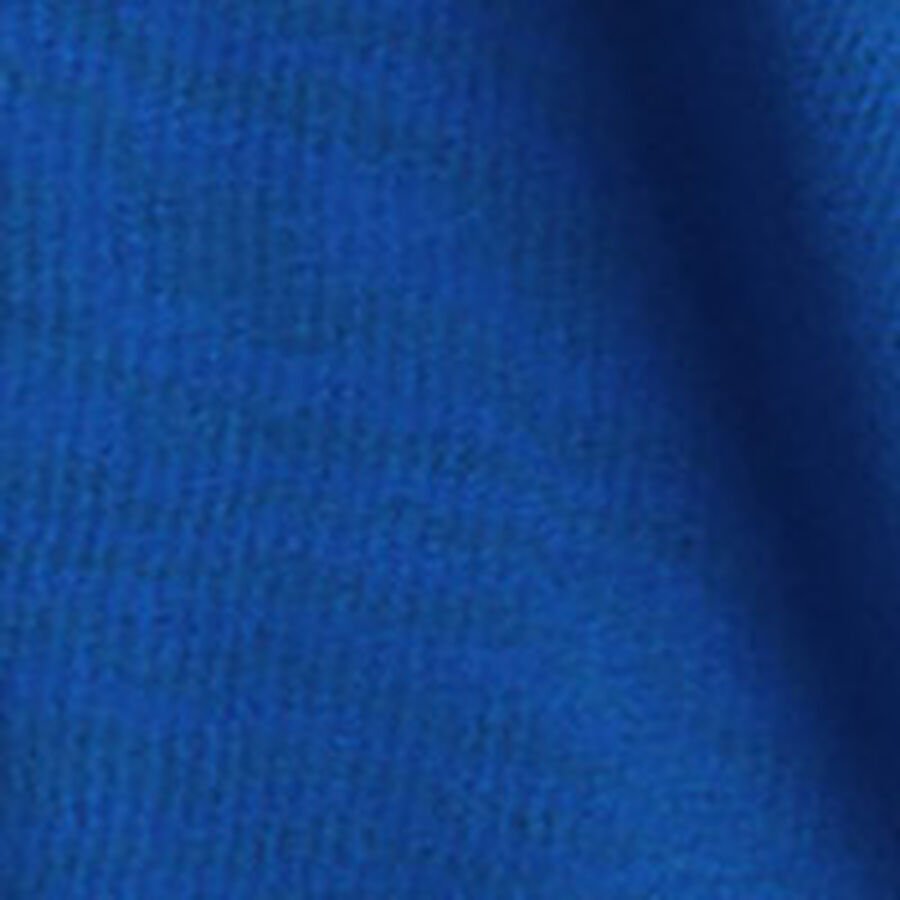 Color swatch