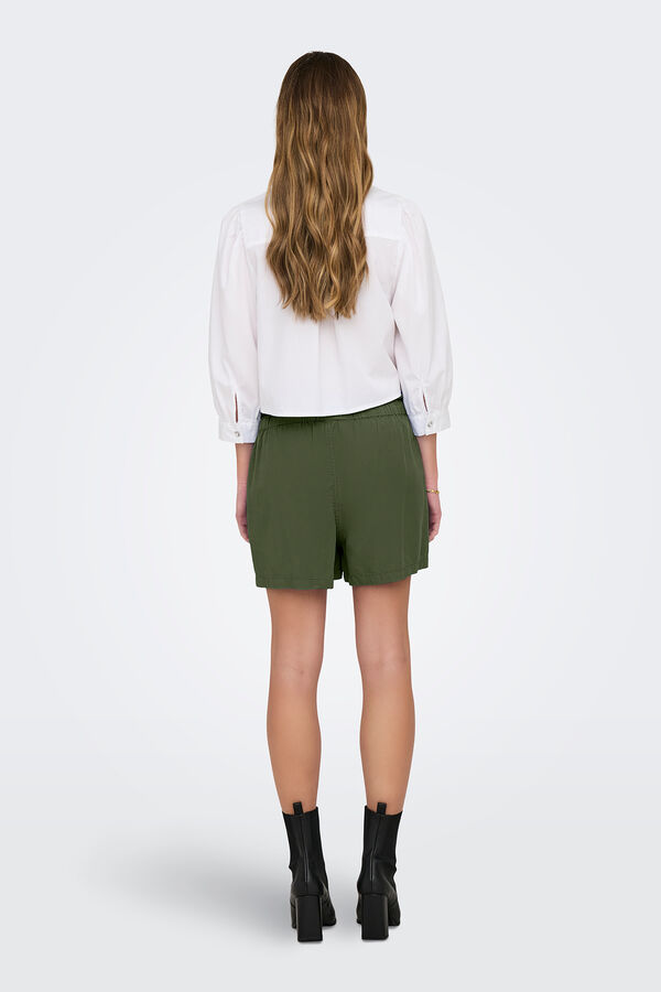 Springfield Embroidered shorts green