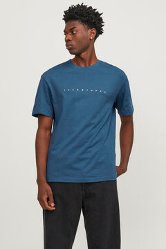 Springfield Standard fit T-shirt bluish