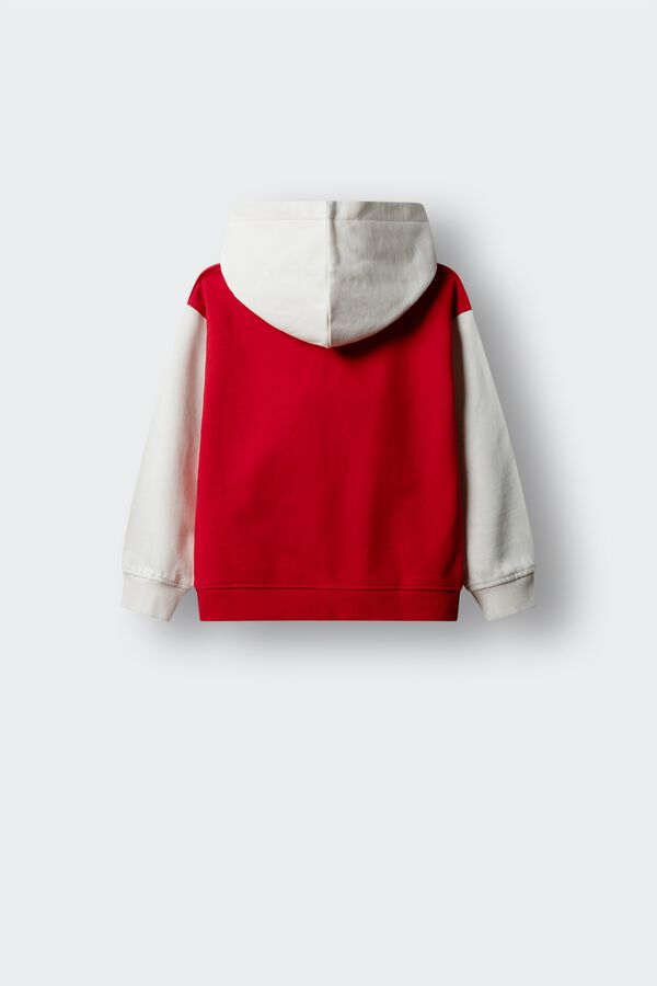Springfield Kids Sudadera 32 ni&ntilde;o rojo